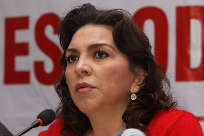 Vive México momento importante de su historia con reformas: PRI