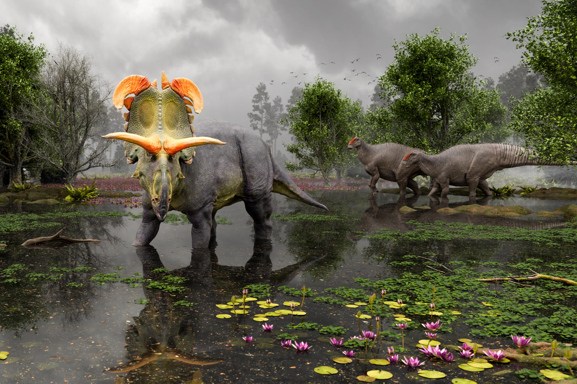 Descubren en EE.UU. una nueva especie de dinosaurio herbívoro con cuernos gigantes