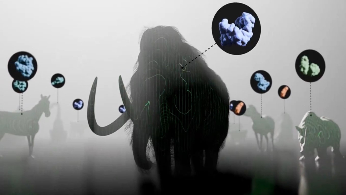 IA resucita moléculas de criaturas del pasado, como el mamut, para crear antibióticos