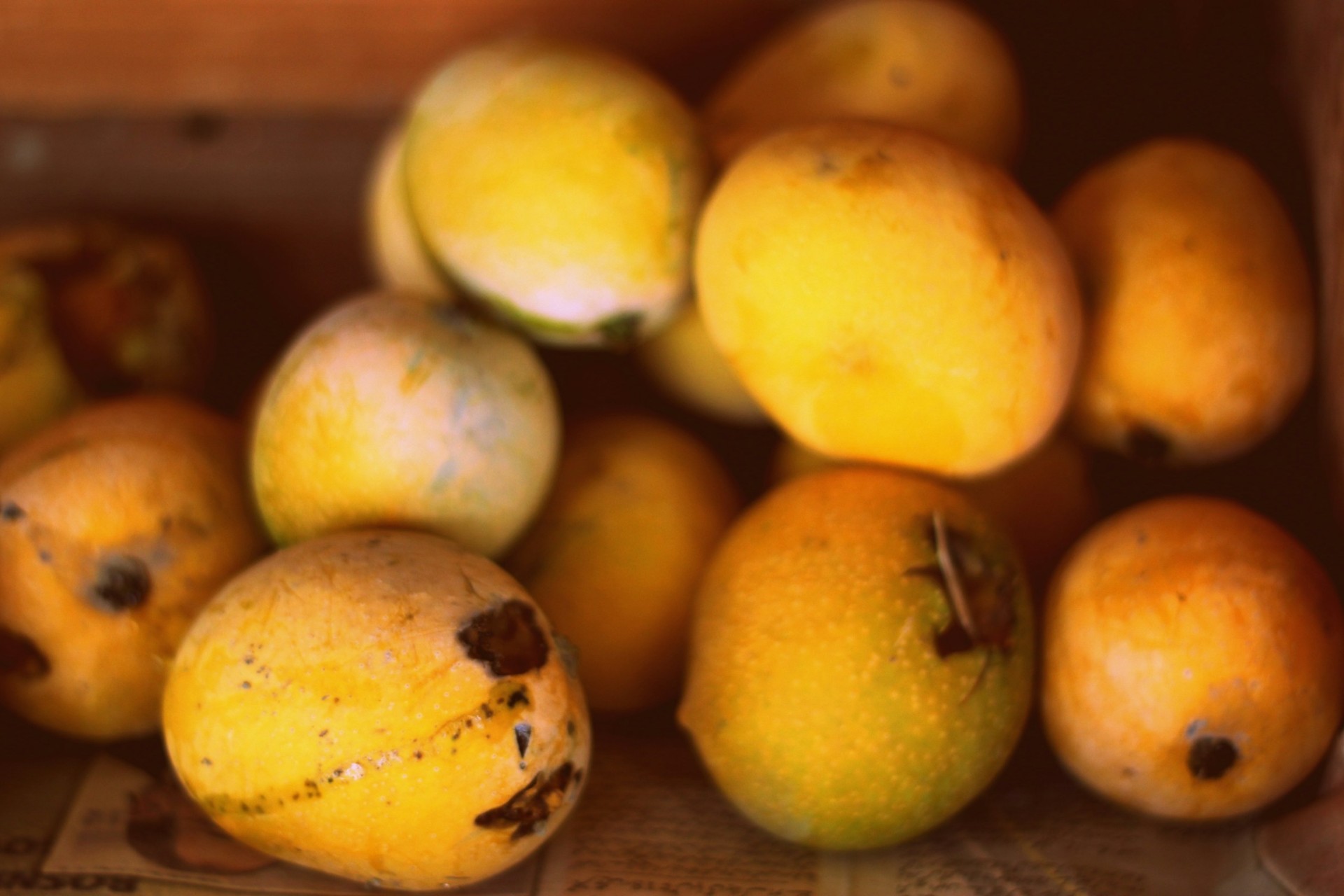 EE.UU. suspende inspecciones a aguacates y mangos de Michoacán tras agresiones a personal